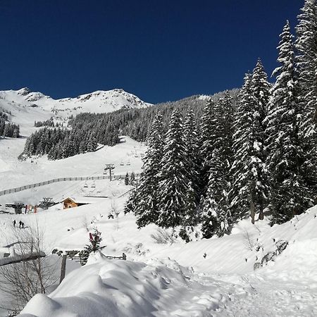 Superbe Studio Aux 7 Laux La Ferriere  Экстерьер фото