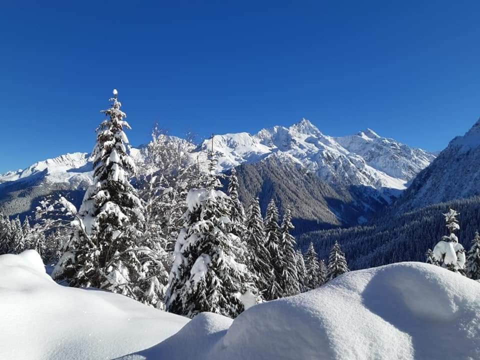 Superbe Studio Aux 7 Laux La Ferriere  Экстерьер фото