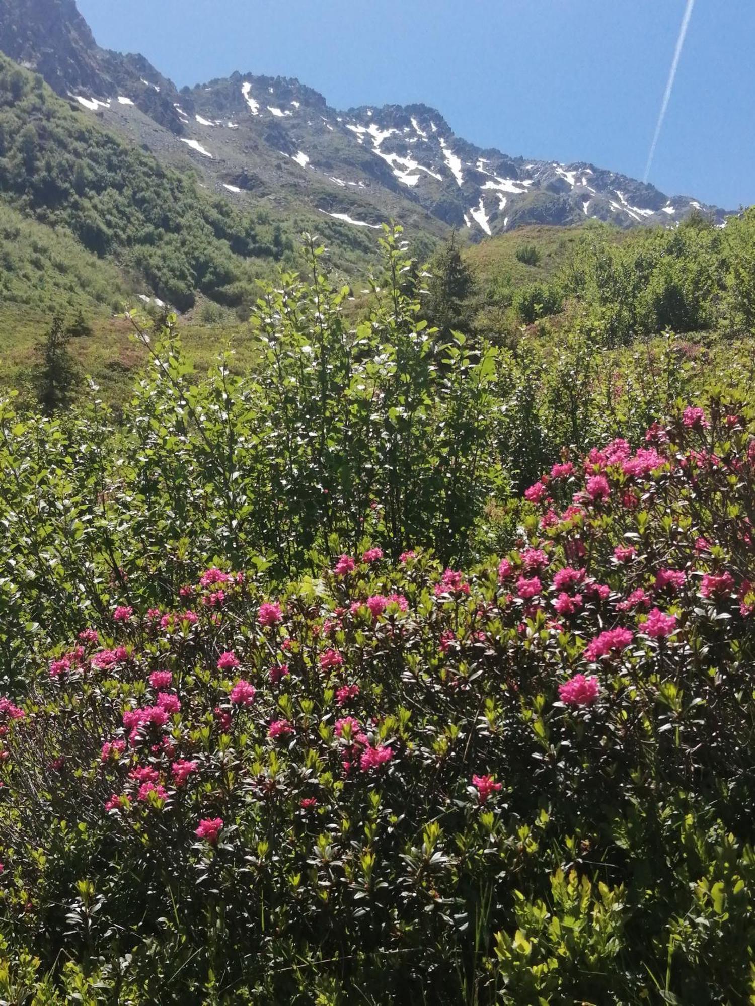 Superbe Studio Aux 7 Laux La Ferriere  Экстерьер фото